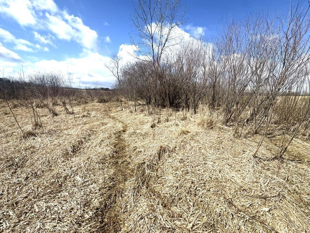 City View Road, Unit 1 Kiel, WI 53042 - Photo 24 of 46