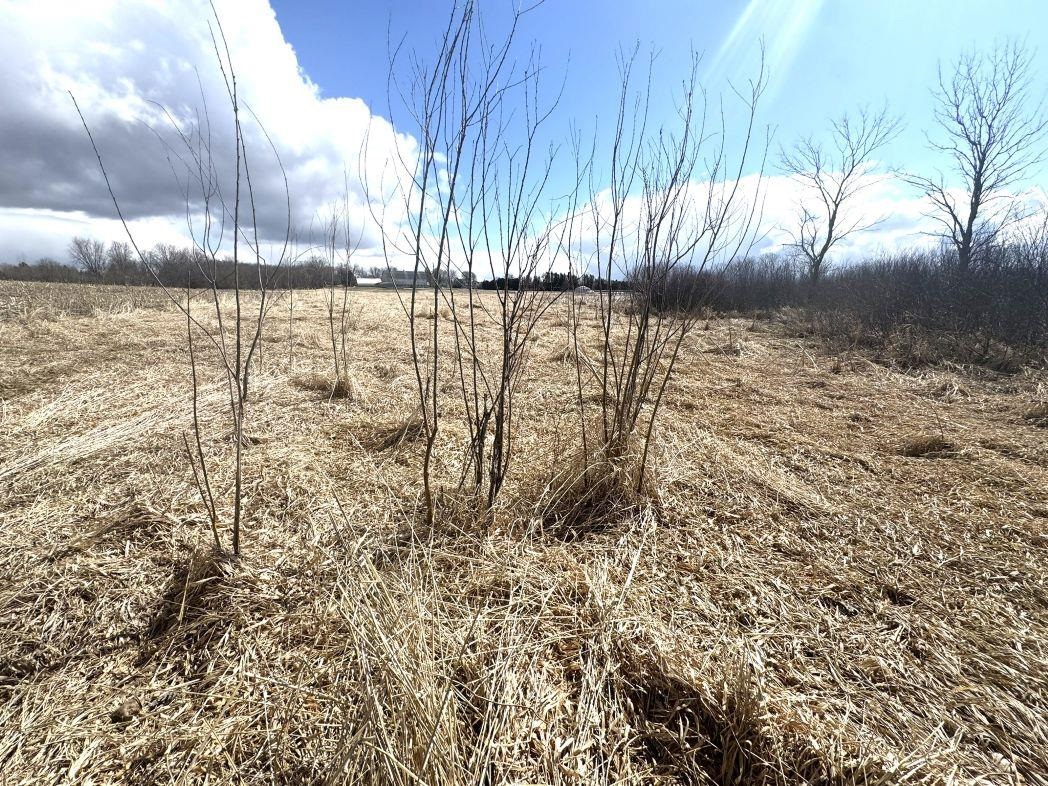 City View Road, Unit 1 Kiel, WI 53042 - Photo 26 of 46