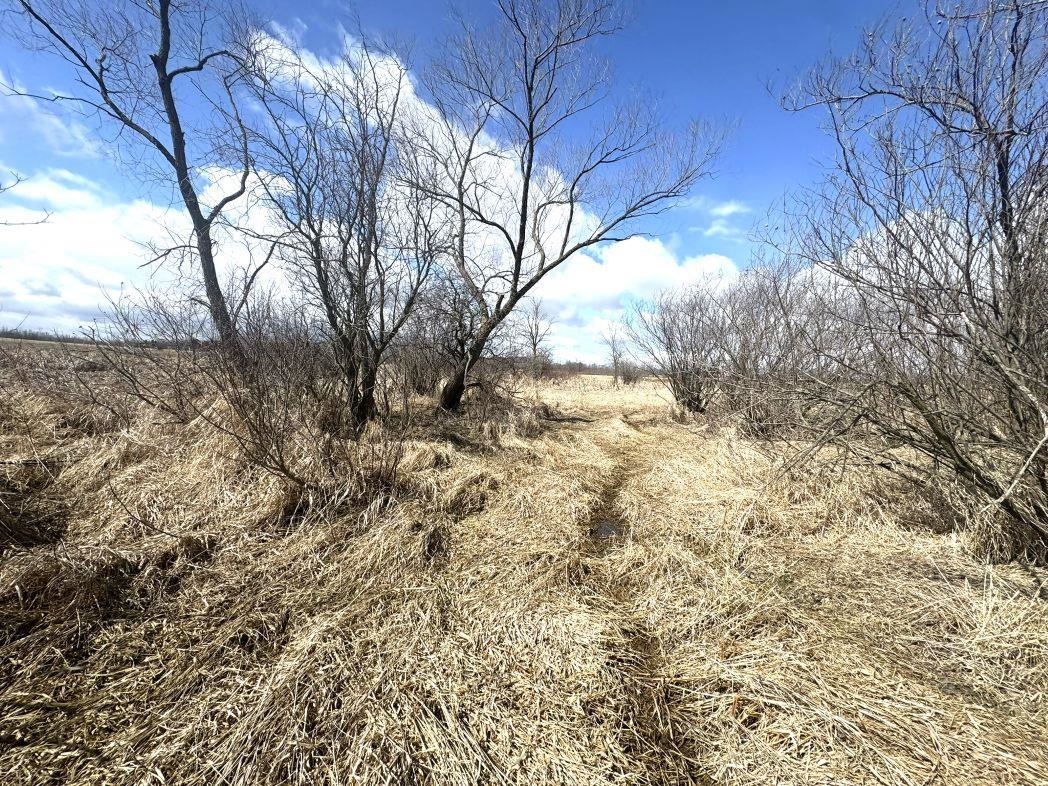 City View Road, Unit 1 Kiel, WI 53042 - Photo 27 of 46