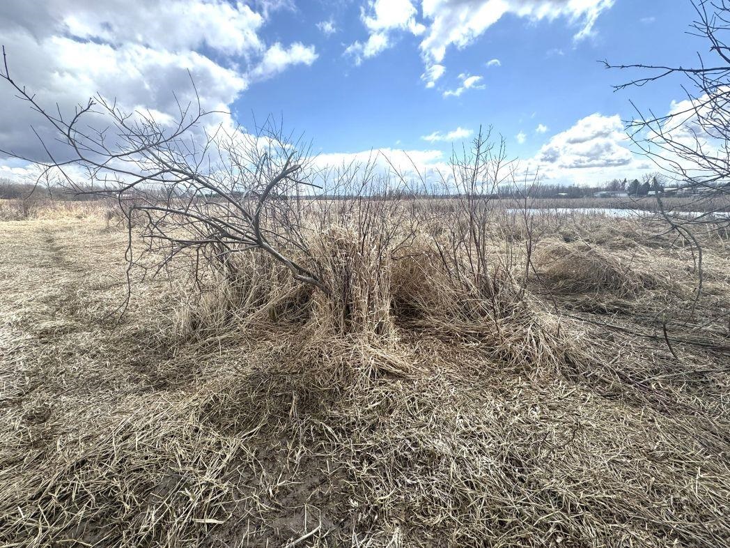 City View Road, Unit 1 Kiel, WI 53042 - Photo 35 of 46