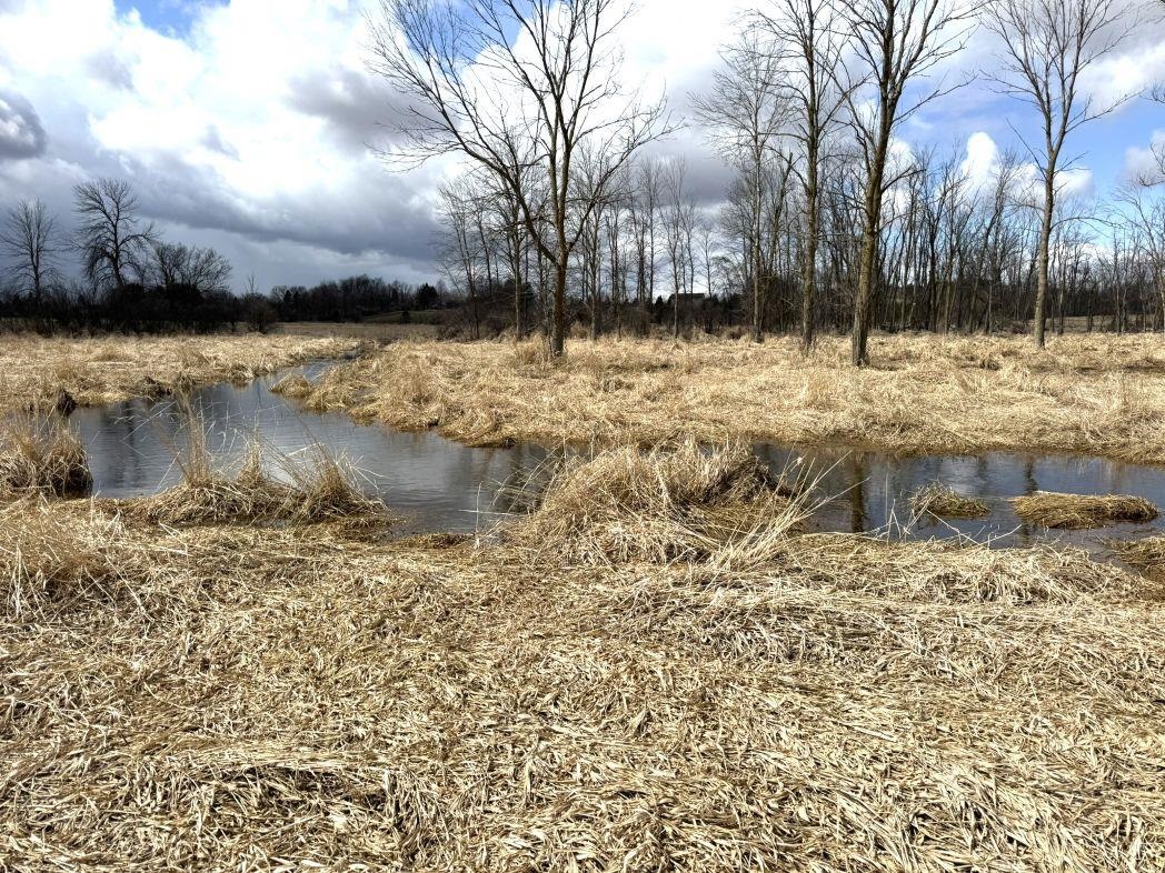 City View Road, Unit 1 Kiel, WI 53042 - Photo 37 of 46