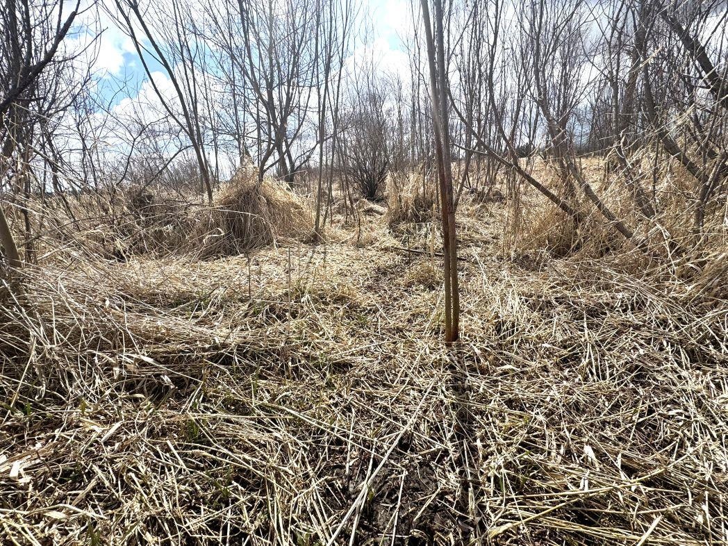 City View Road, Unit 1 Kiel, WI 53042 - Photo 40 of 46