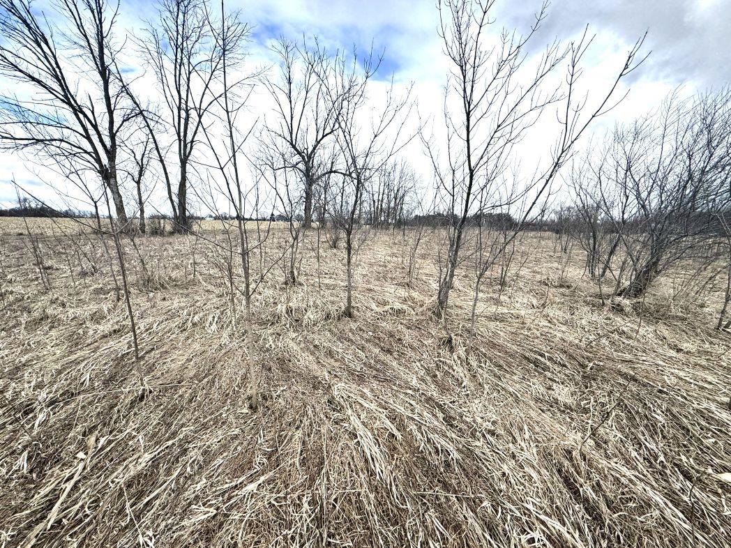 City View Road, Unit 1 Kiel, WI 53042 - Photo 41 of 46