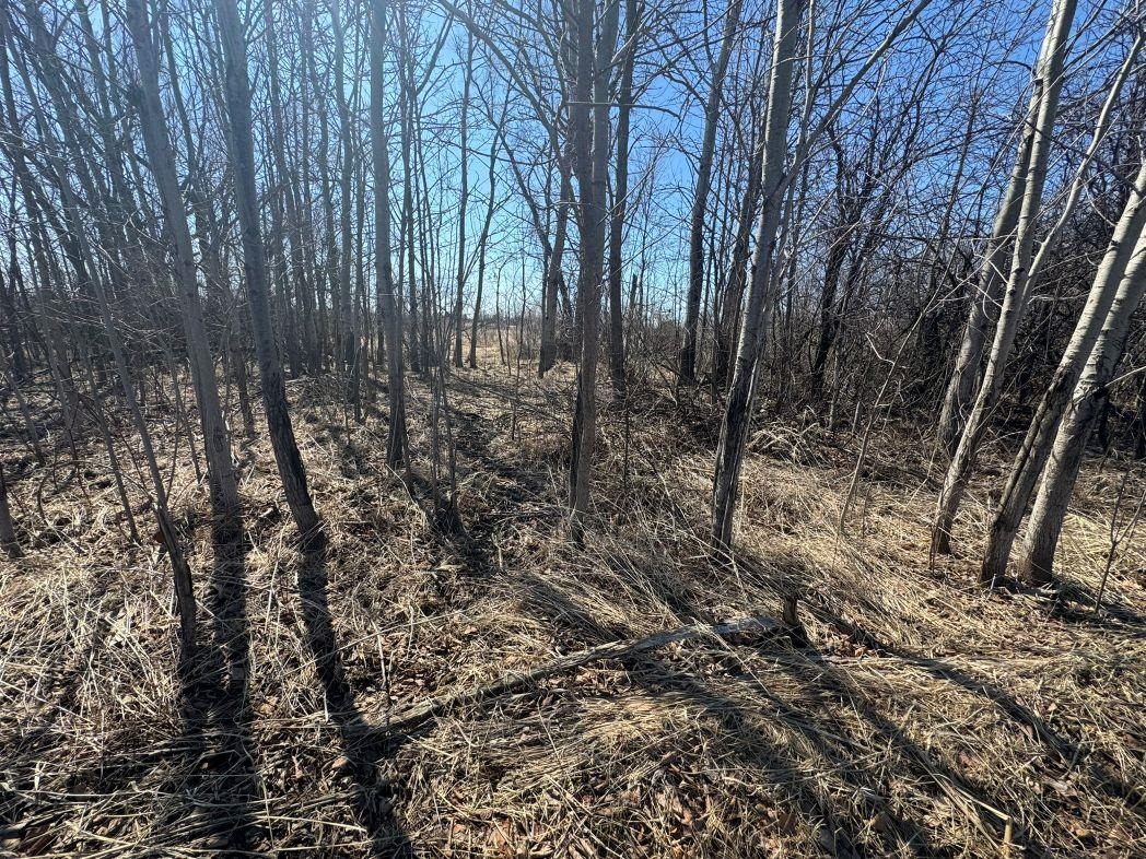 City View Road, Unit 1 Kiel, WI 53042 - Photo 42 of 46