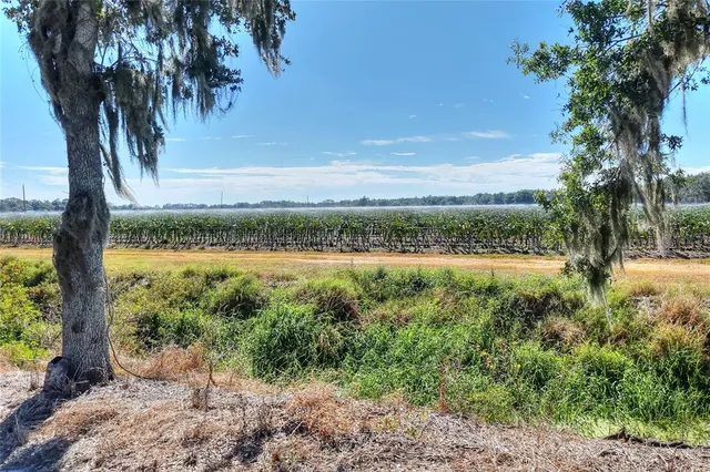 $5,450,000 | 6018 Saint Co Road 661A, Arcadia, FL 34266