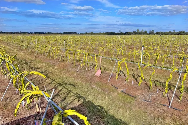 $5,450,000 | 6018 Saint Co Road 661A, Arcadia, FL 34266