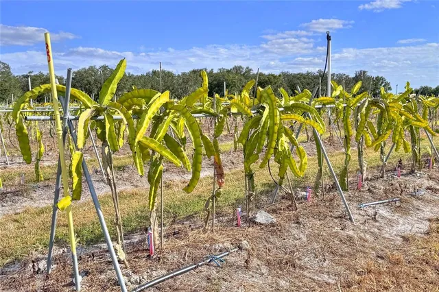 $5,450,000 | 6018 Saint Co Road 661A, Arcadia, FL 34266