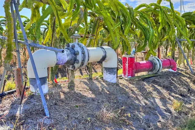 $5,450,000 | 6018 Saint Co Road 661A, Arcadia, FL 34266