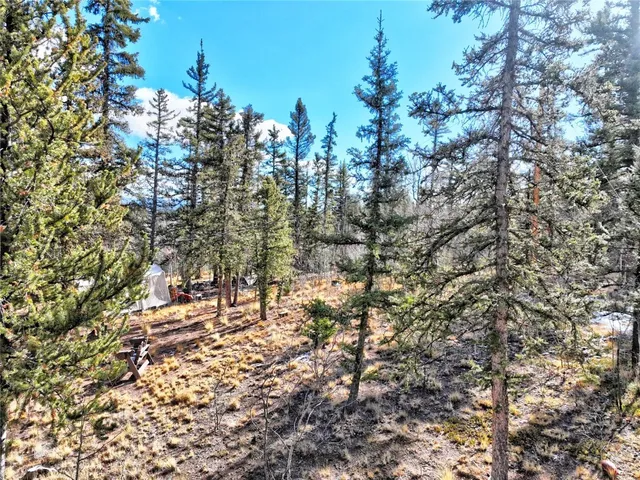 a view of a city with lush green forest