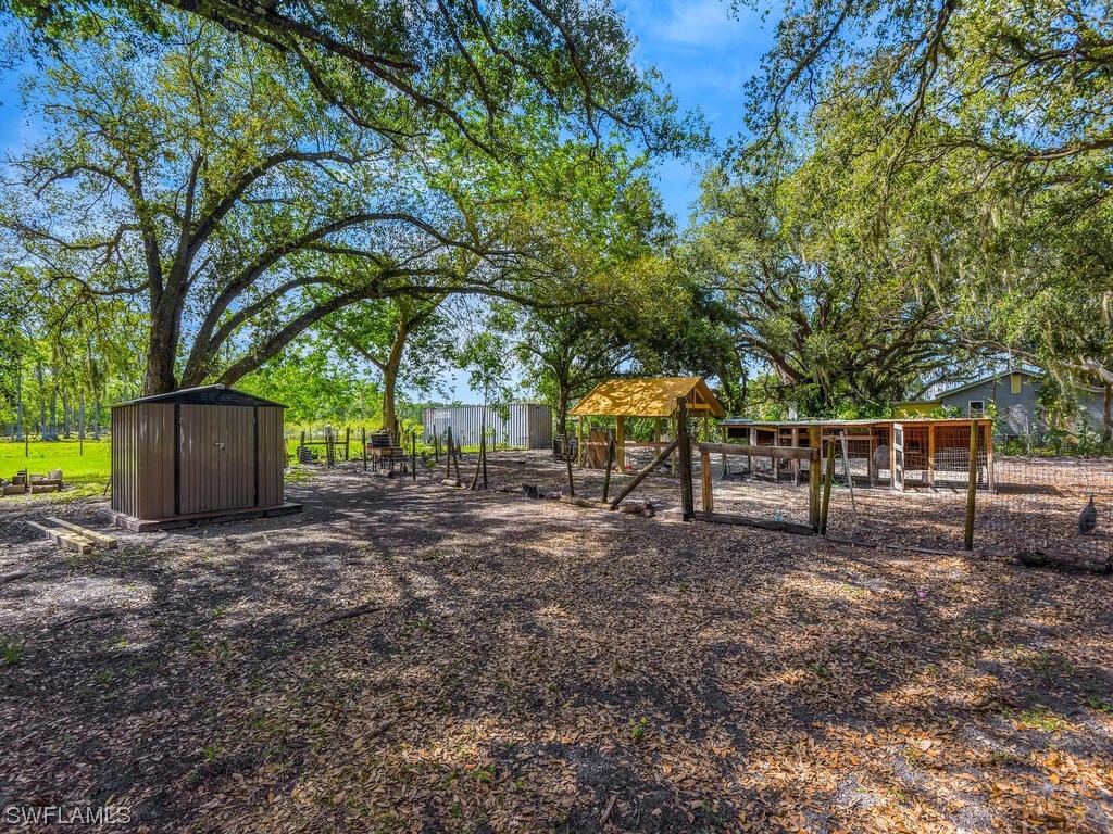 1183 Summerall Road LaBelle, FL 33935 - Photo 5 of 28 a view of backyard with trees