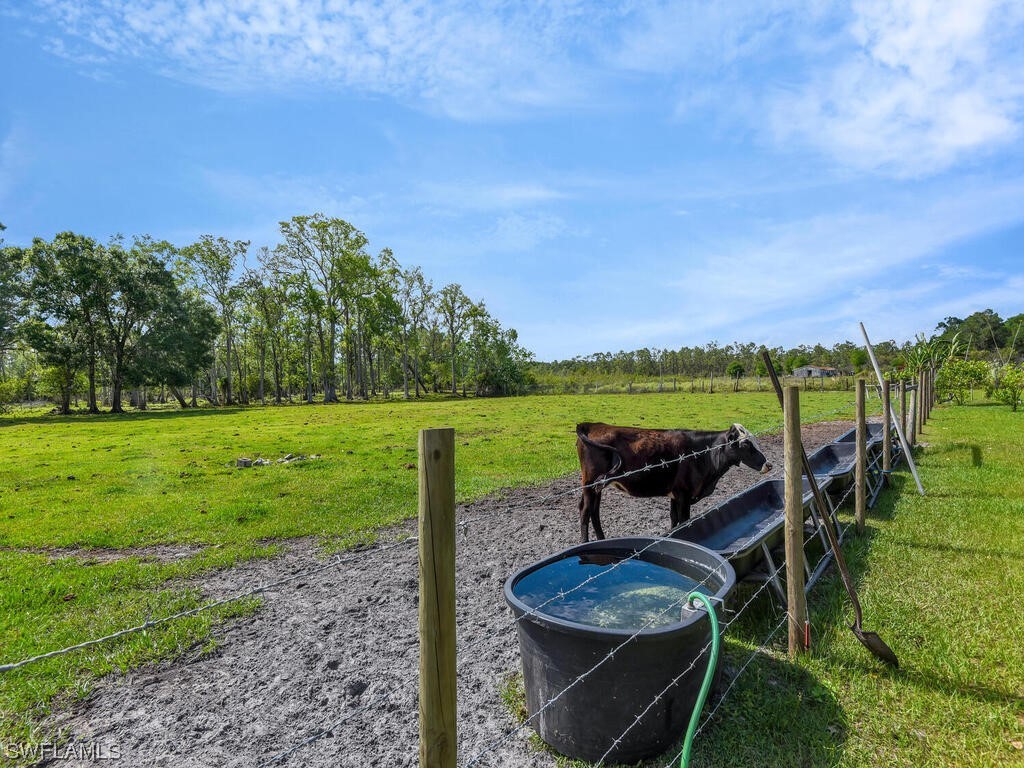 1183 Summerall Road LaBelle, FL 33935 - Photo 6 of 28 a backyard of a house with table and chairs