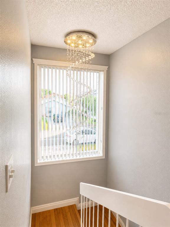 5124 Springwood Drive Tampa, FL 33624 - Photo 17 of 24