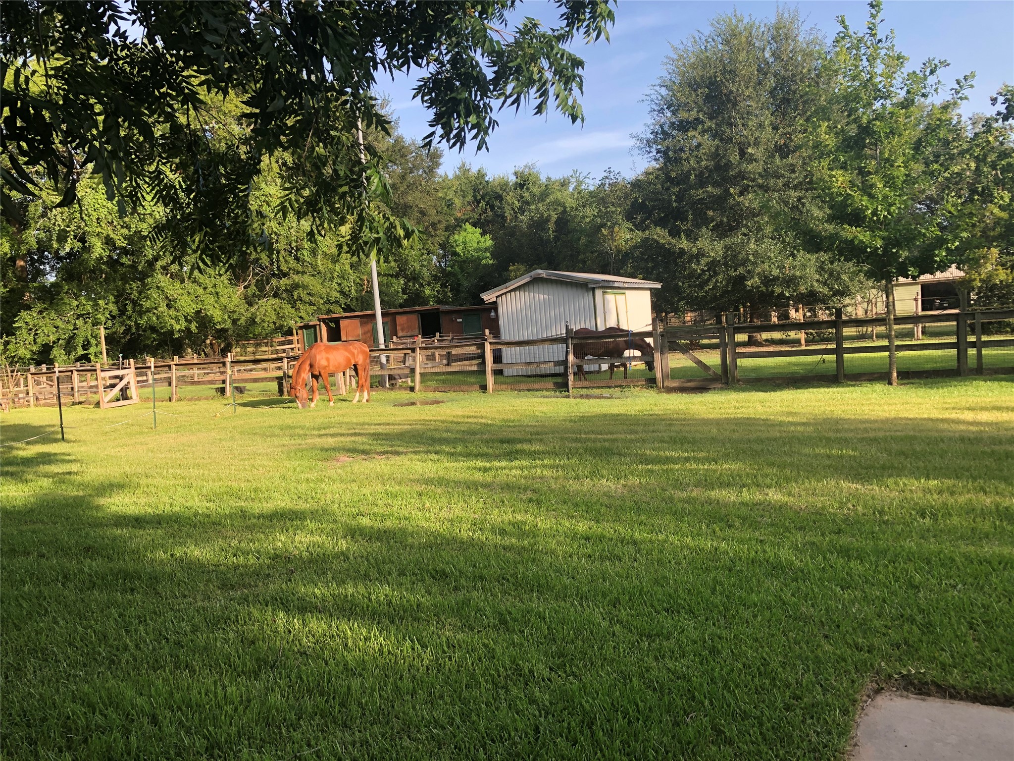 5235 Spring Stuebner Road Spring, TX 77388 - Photo 22 of 22