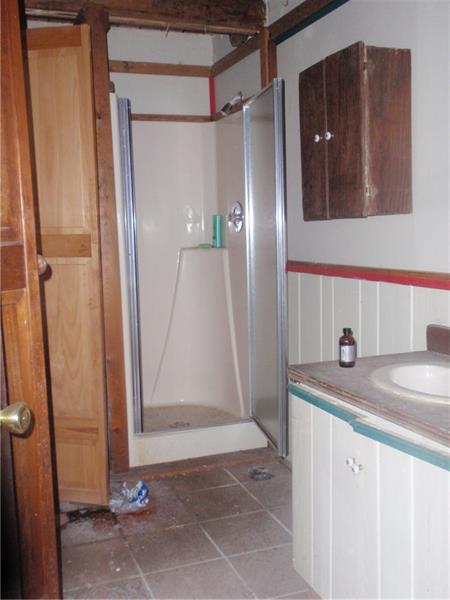 0 Falling Run Road Blairsville, PA 15717 - Photo 6 of 9 Full bath