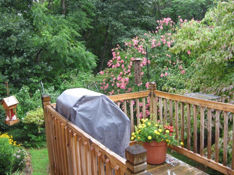 305 Sky View Road Goodview, VA 24095 - Photo 28 of 30 305 Sky View 6.jpg