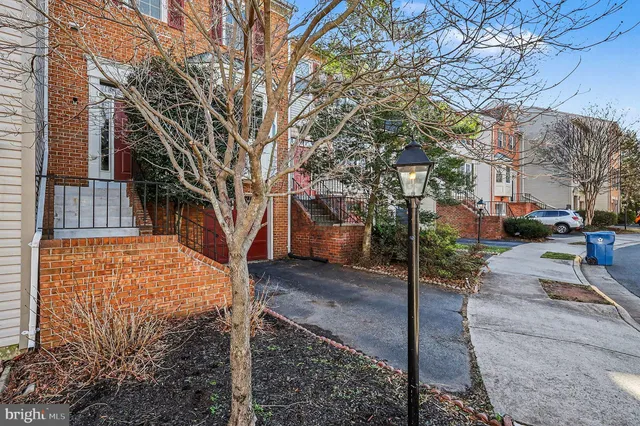a view of a park with large tree