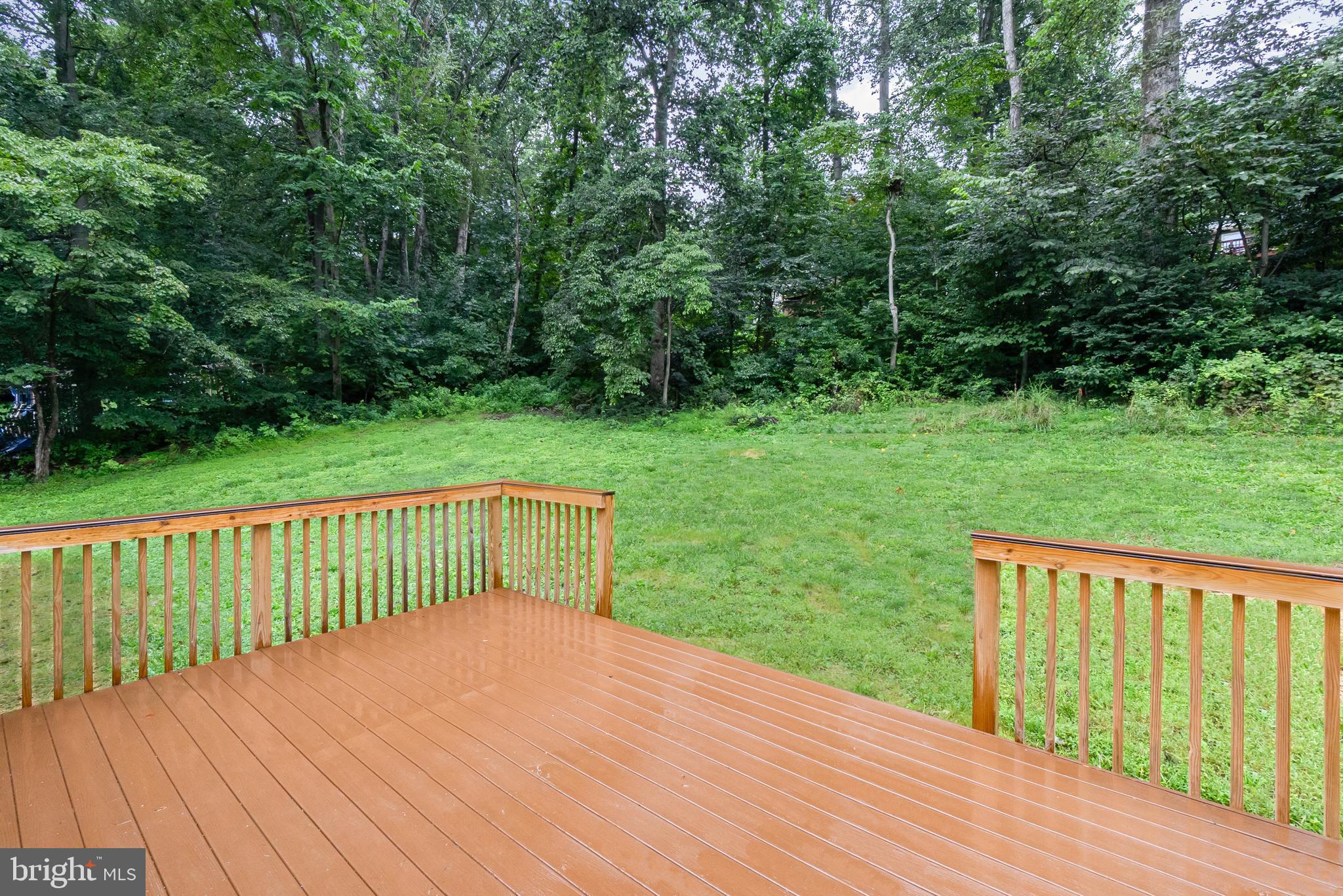 181 Codjus Drive Rising Sun, MD 21911 - Photo 7 of 40 Deck off Main Level