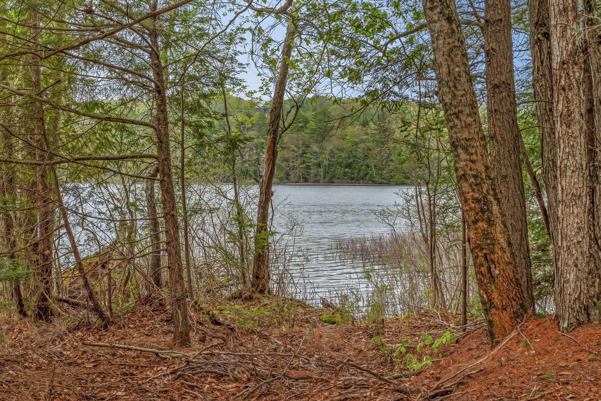 14 Beaver Ridge Road Palermo, ME 04354 - Photo 11 of 26 5-web-or-mls-14-beaver-ridge-rd