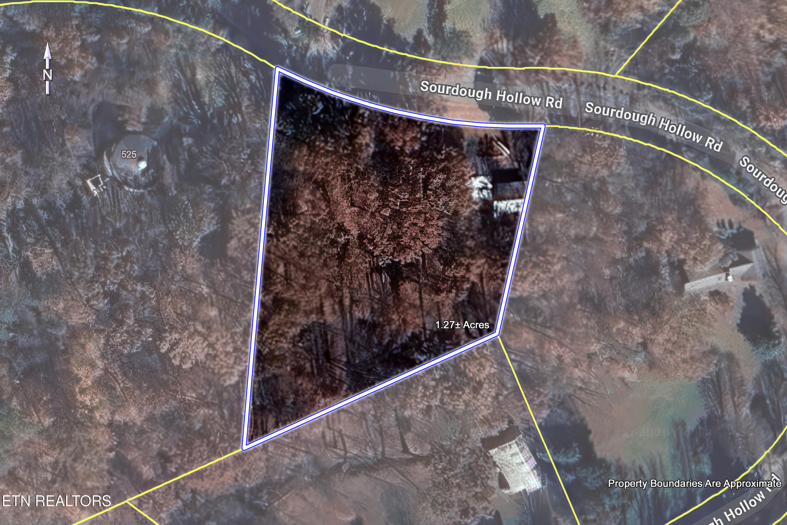 521 Sourdough Hollow Road Kodak, TN 37764 - Photo 48 of 50 48_SourdoughHollowRoad_521_SatellitePlat