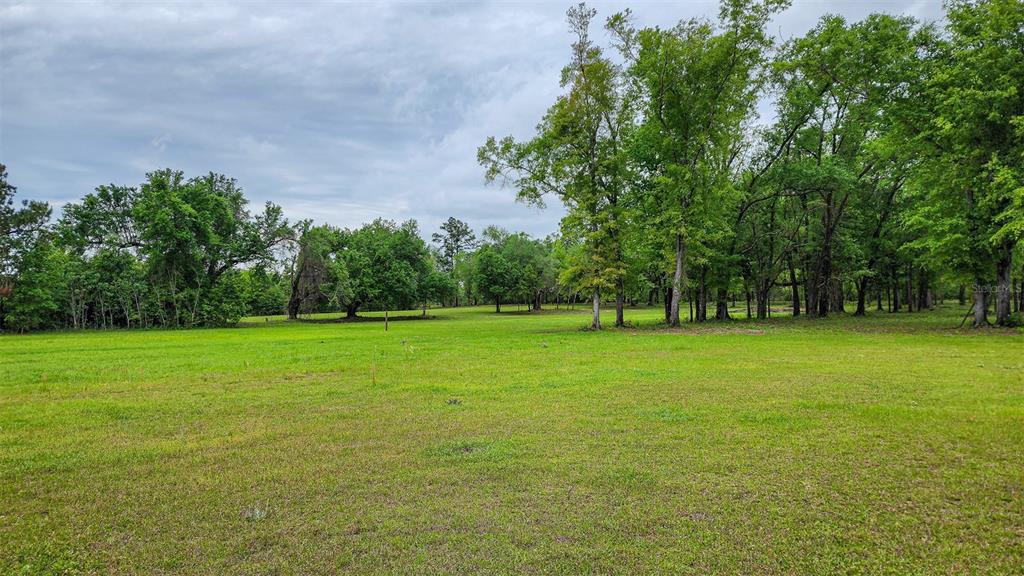 7526 Weddington Road Sneads, FL 32460 - Photo 59 of 97 Gallery Image 59