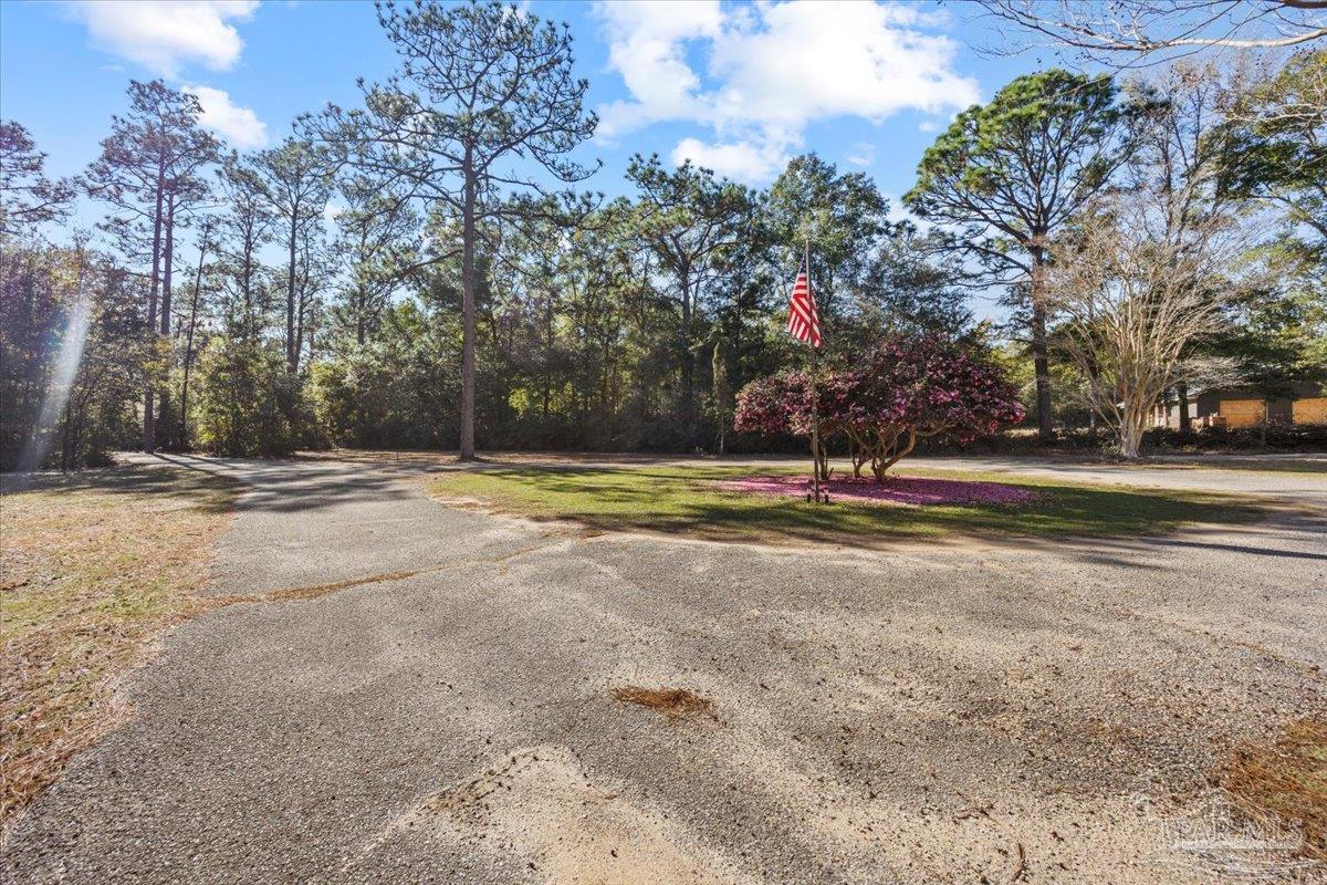 5560 Willard Norris Road Milton, FL 32570 - Photo 45 of 58 a view of outdoor space with trees