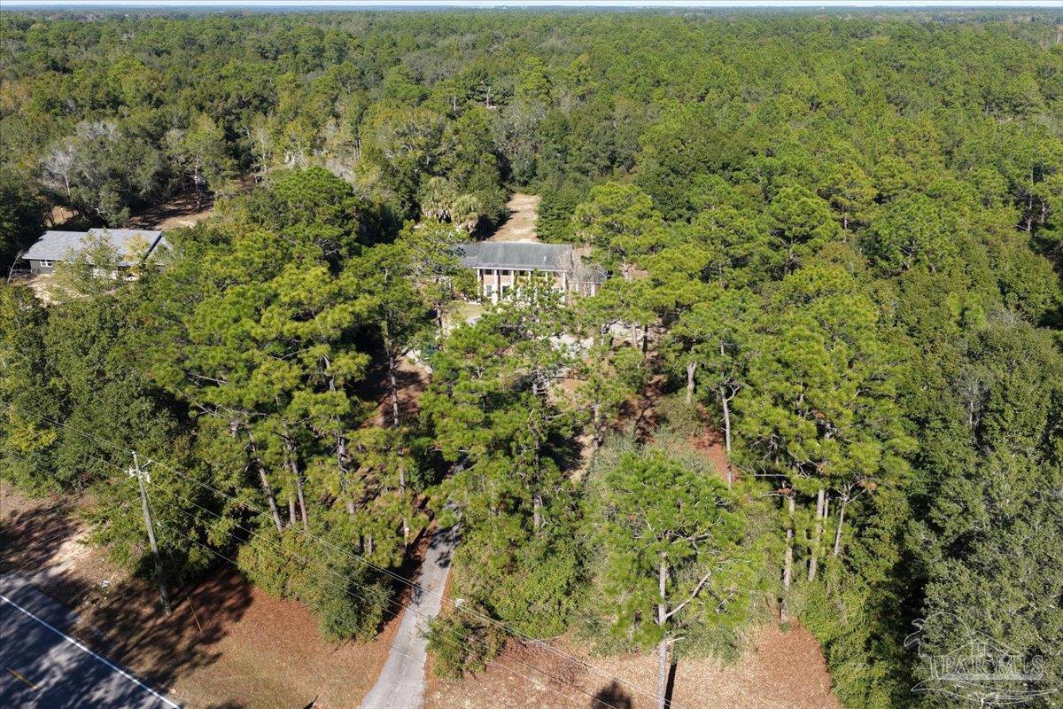 5560 Willard Norris Road Milton, FL 32570 - Photo 47 of 58 a view of a forest with a street