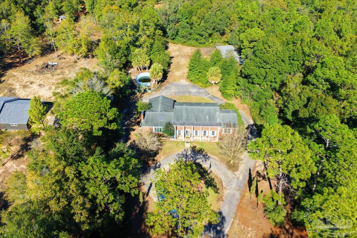 5560 Willard Norris Road Milton, FL 32570 - Photo 50 of 58 a picture of a tree