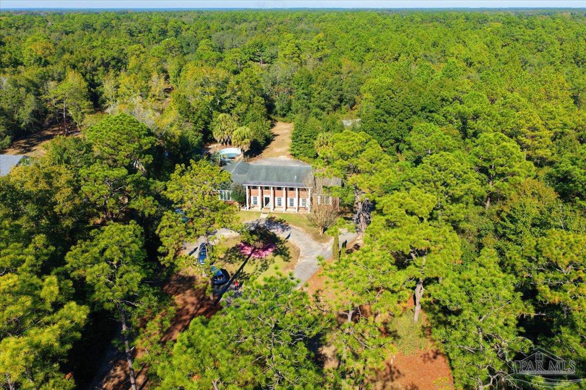 5560 Willard Norris Road Milton, FL 32570 - Photo 56 of 58 a view of a big yard with plants and large trees