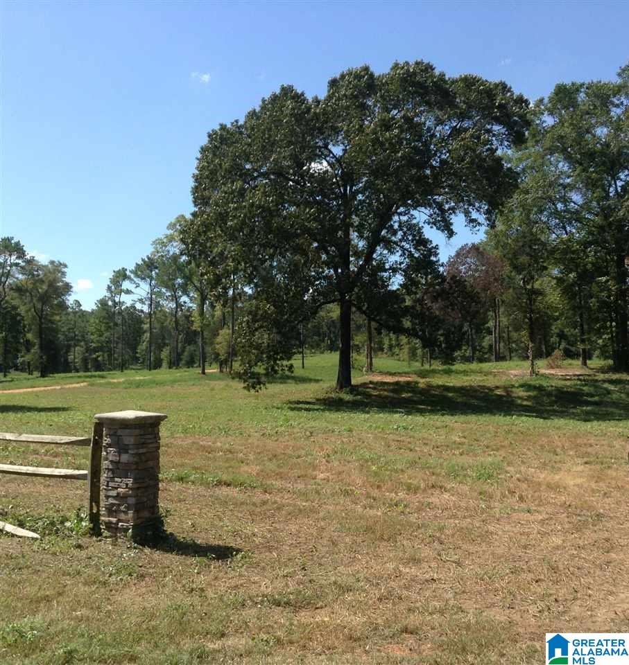 19 Highway Montevallo Al Montevallo, AL 35115 - Photo 8 of 9