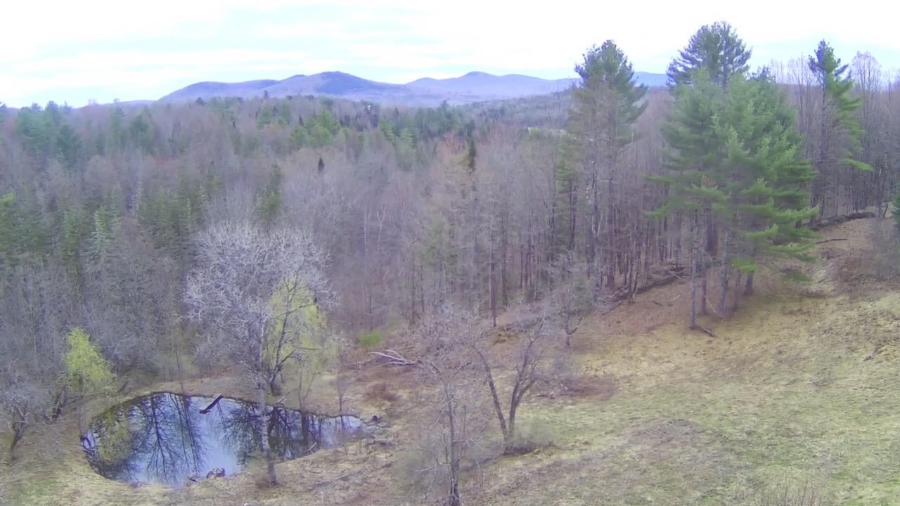5208 Hollister Hill Road Marshfield, VT 05658 - Photo 38 of 40