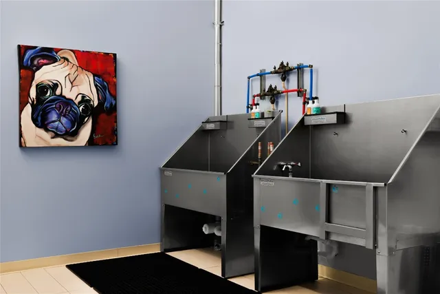 $3,500 | 200 Congress Avenue, Unit 33BB, Austin, TX 78701