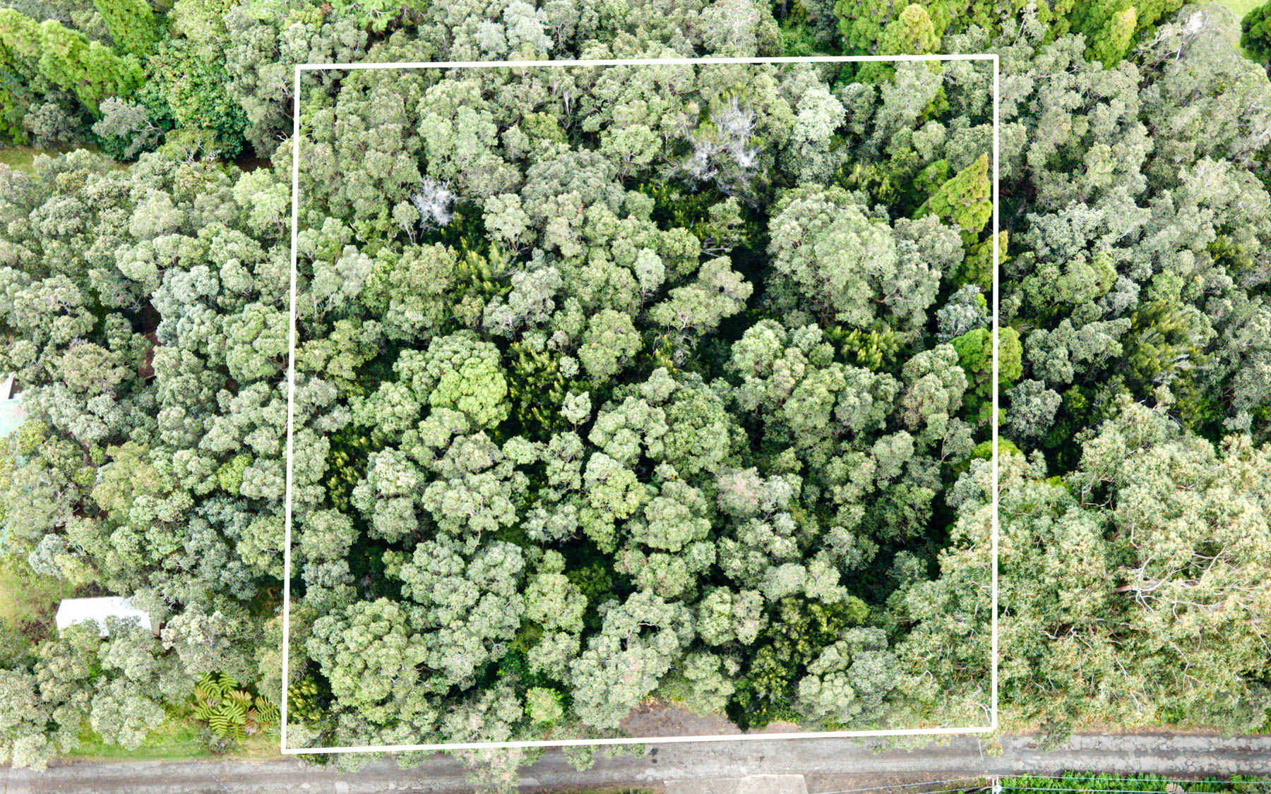 19-4164 Lot 7 Alanui Iiwi Road Volcano, HI 96785 - Photo 2 of 7 a view of a field