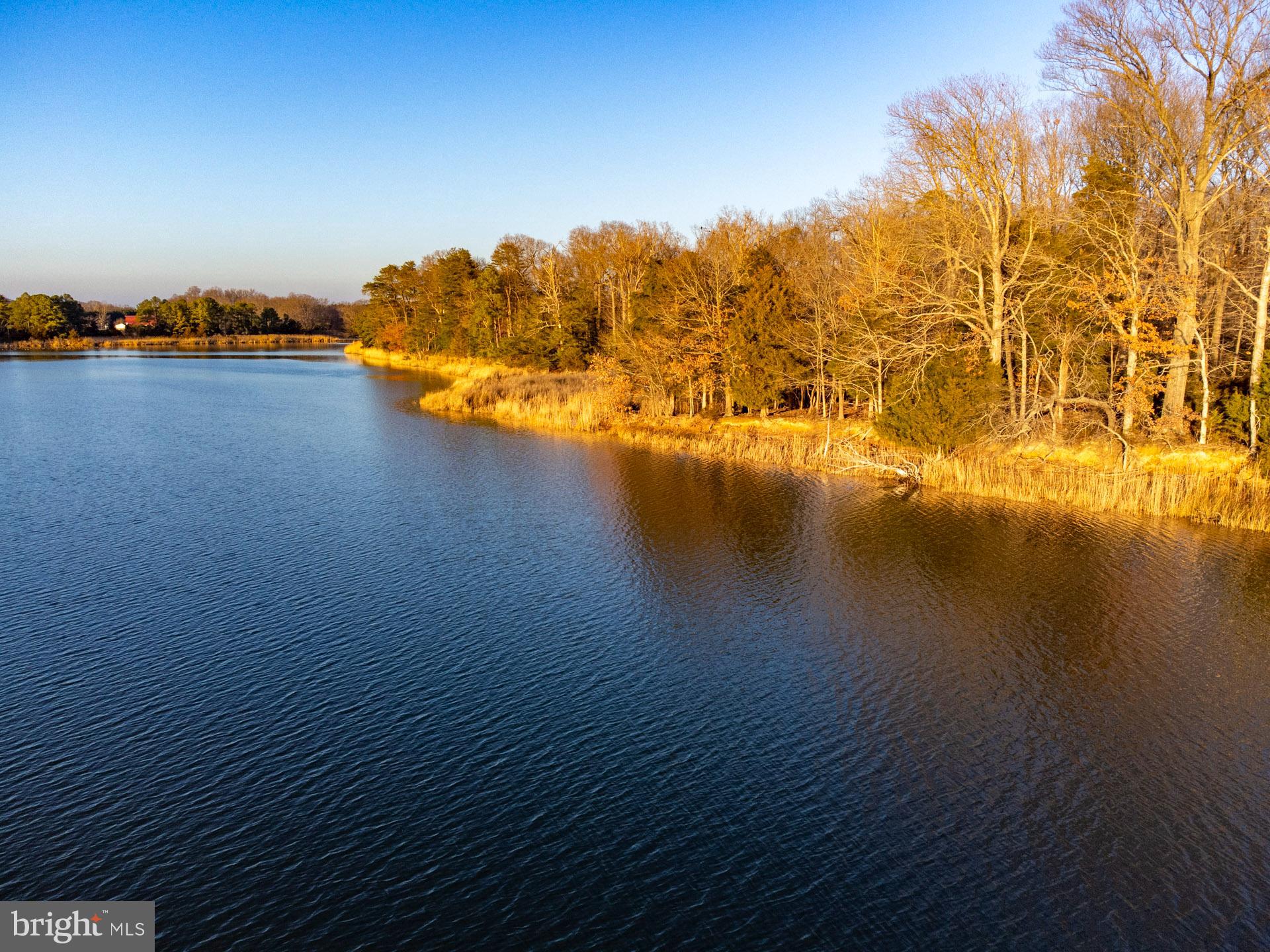 Cods Point Road Trappe, MD 21673 - Photo 12 of 15 a view of an ocean with a mountain