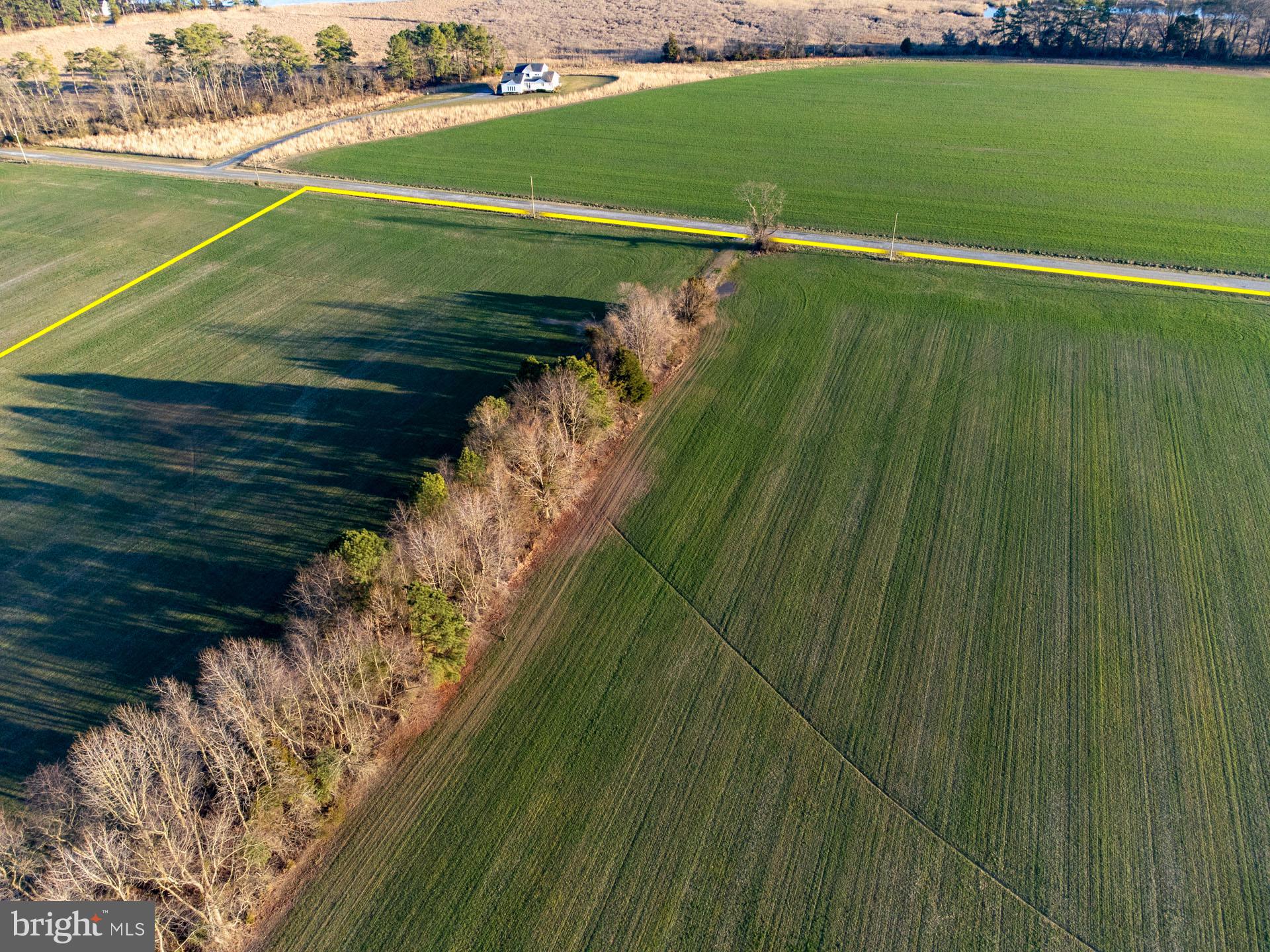 Cods Point Road Trappe, MD 21673 - Photo 4 of 15 a view of a golf course with a park