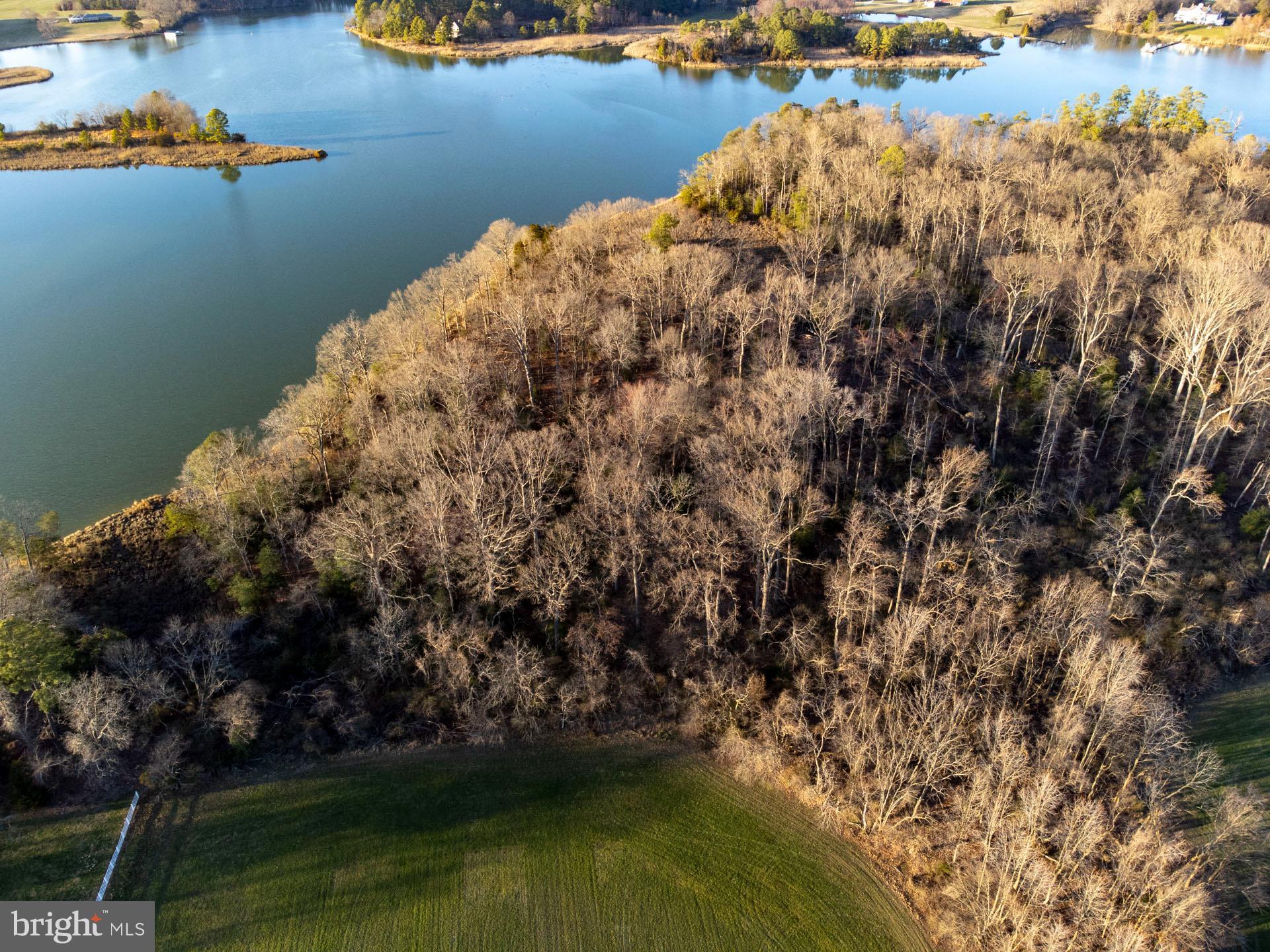 Cods Point Road Trappe, MD 21673 - Photo 5 of 15 a view of lake