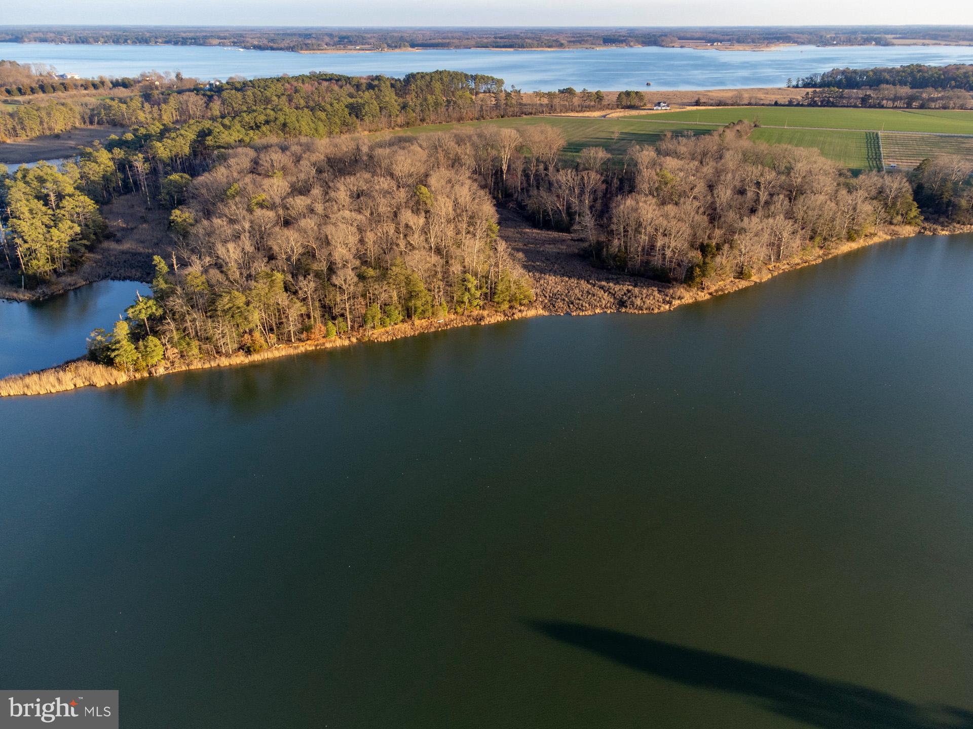 Cods Point Road Trappe, MD 21673 - Photo 7 of 15