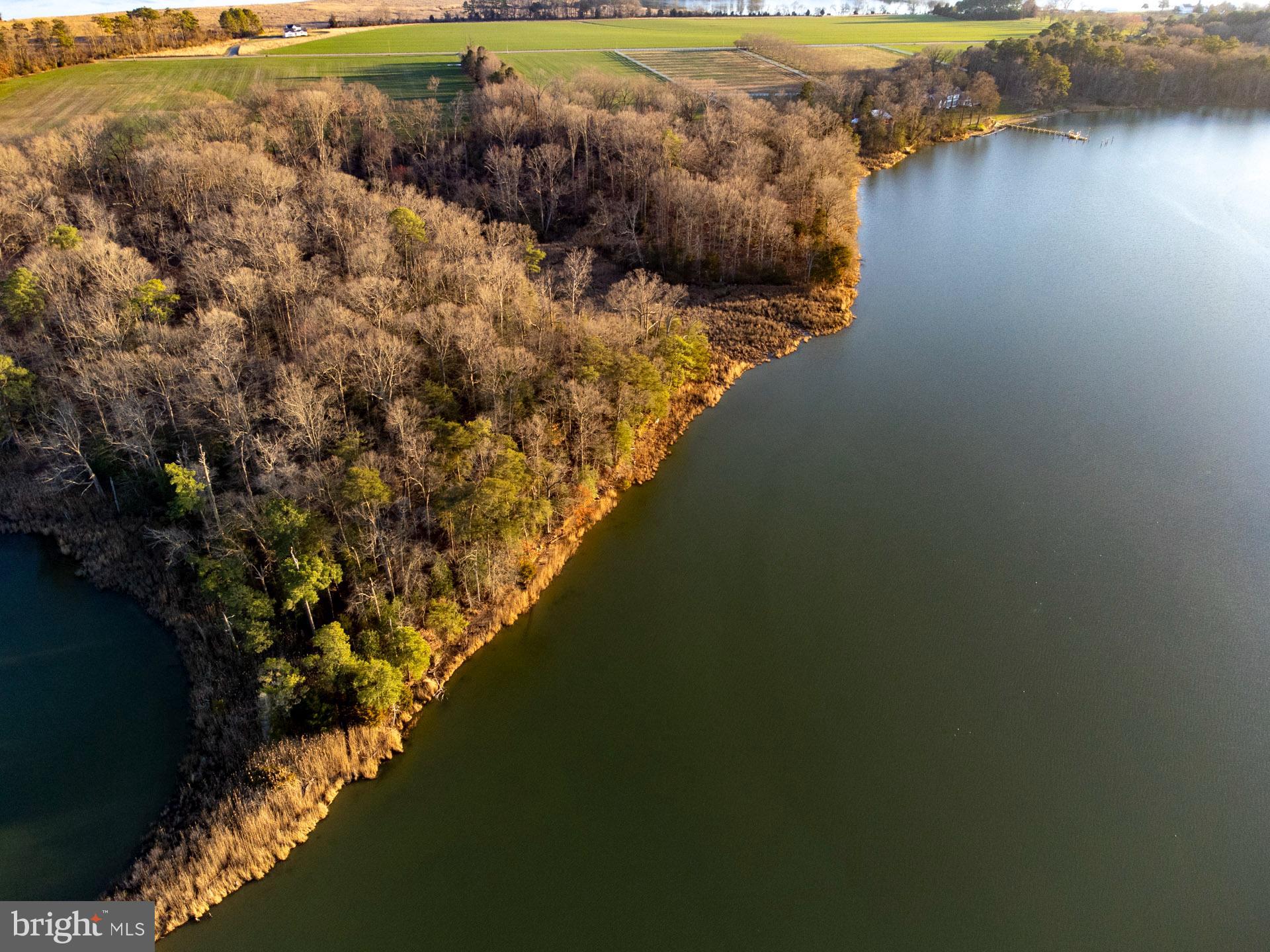 Cods Point Road Trappe, MD 21673 - Photo 8 of 15 a view of lake and mountain