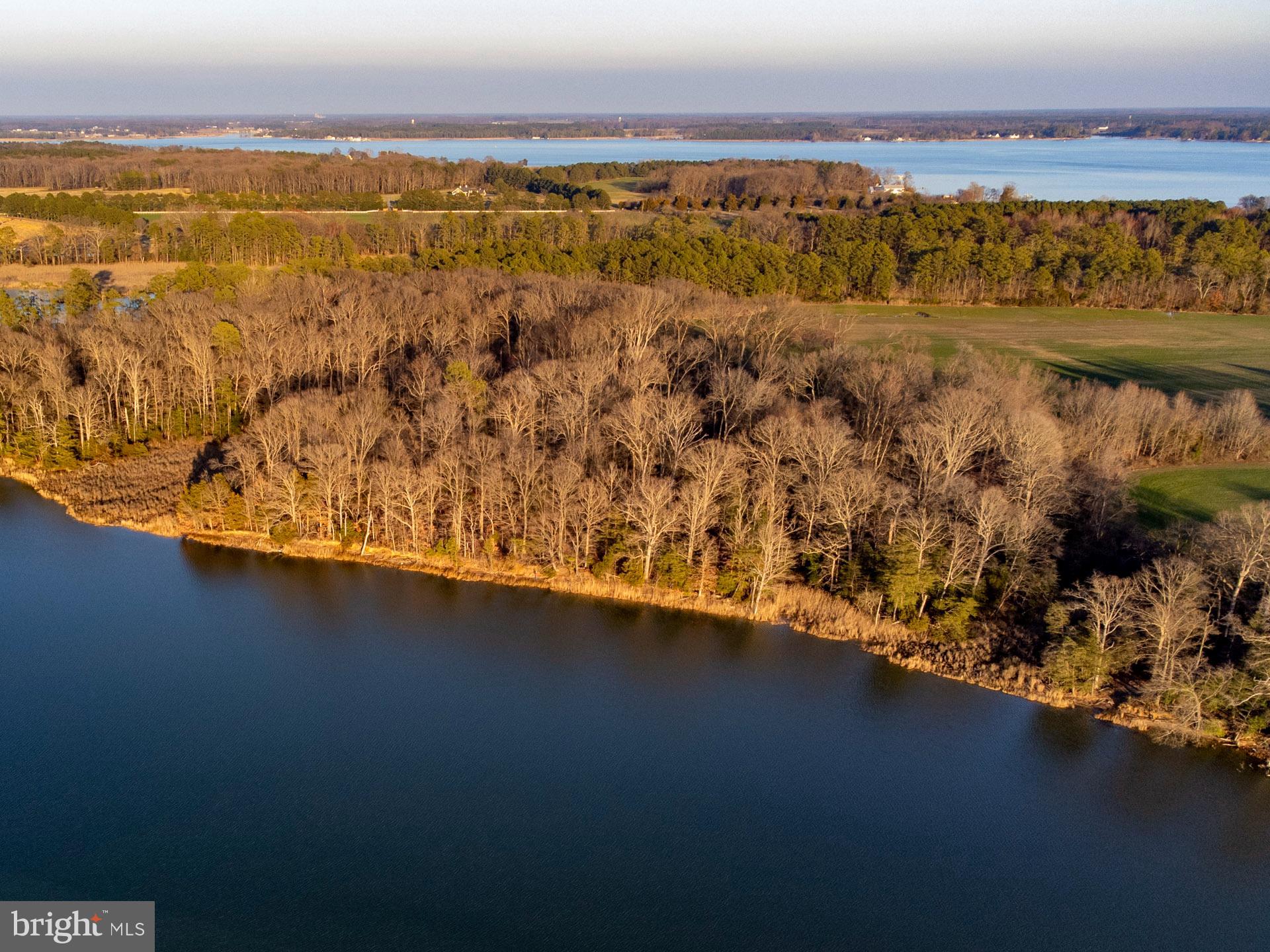 Cods Point Road Trappe, MD 21673 - Photo 10 of 15