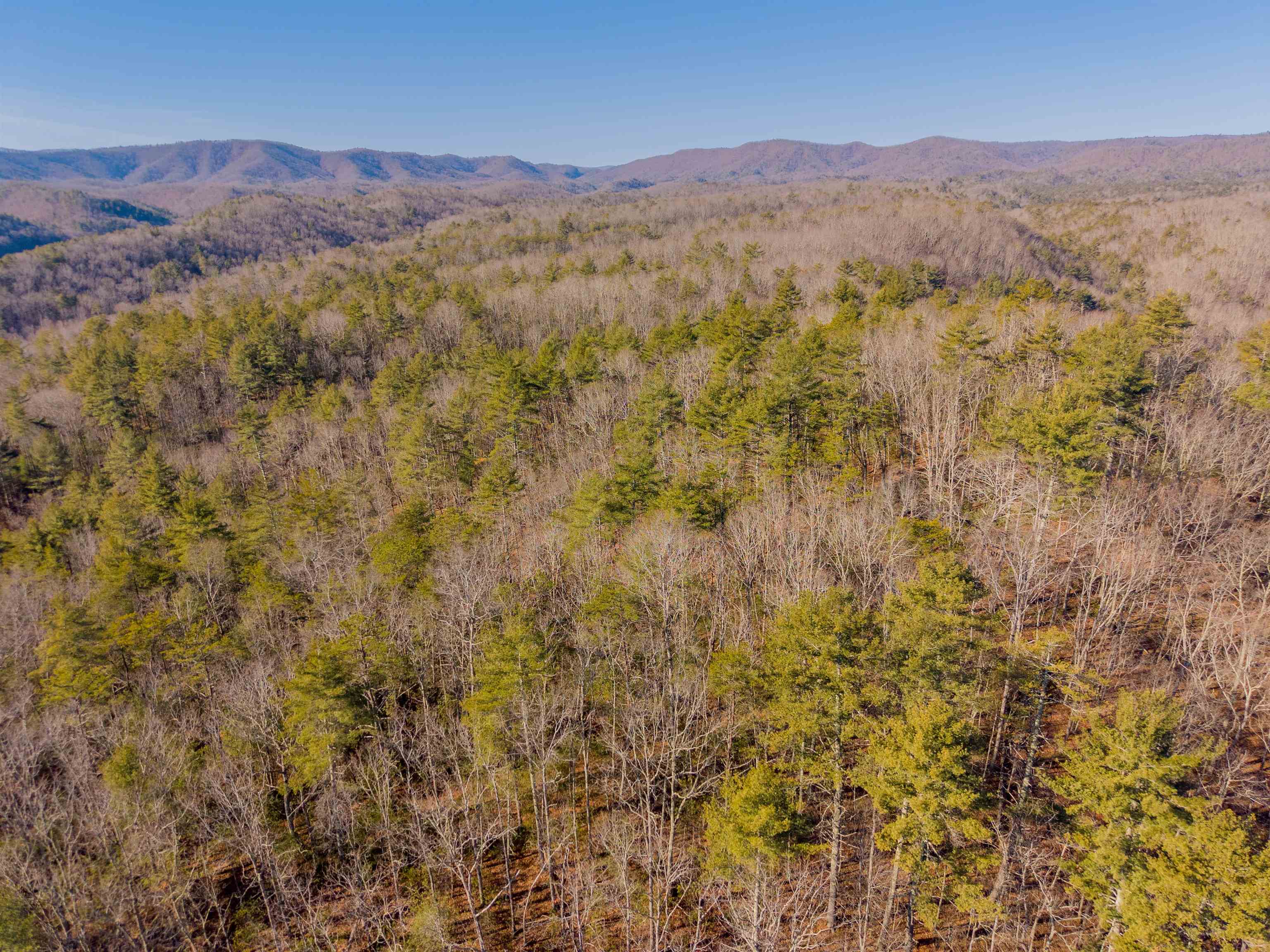 0 Kimberling Road Bland, VA 24315 - Photo 67 of 72 Gallery Image 67