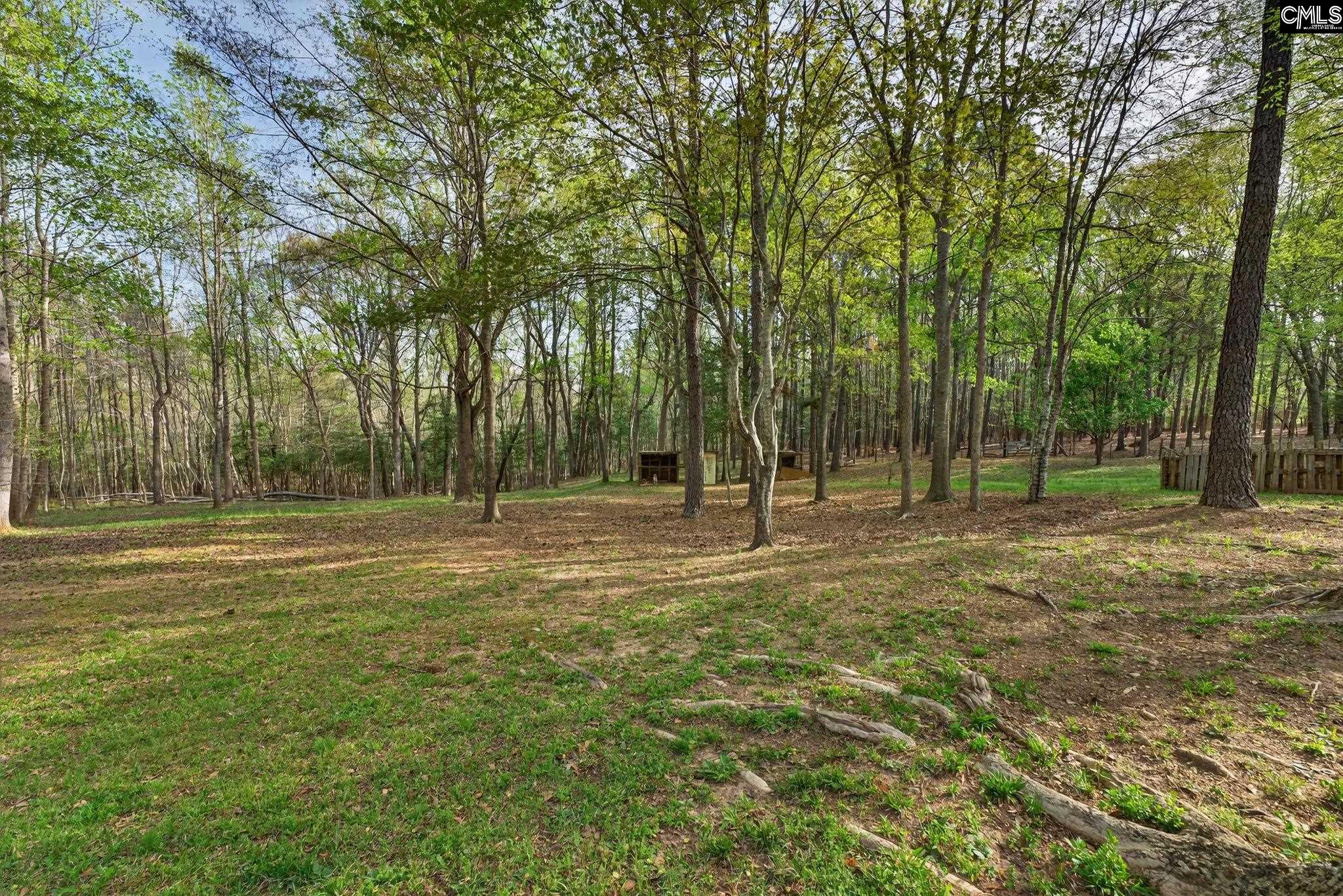 1313 Qualls Road Ridgeway, SC 29130 - Photo 24 of 34