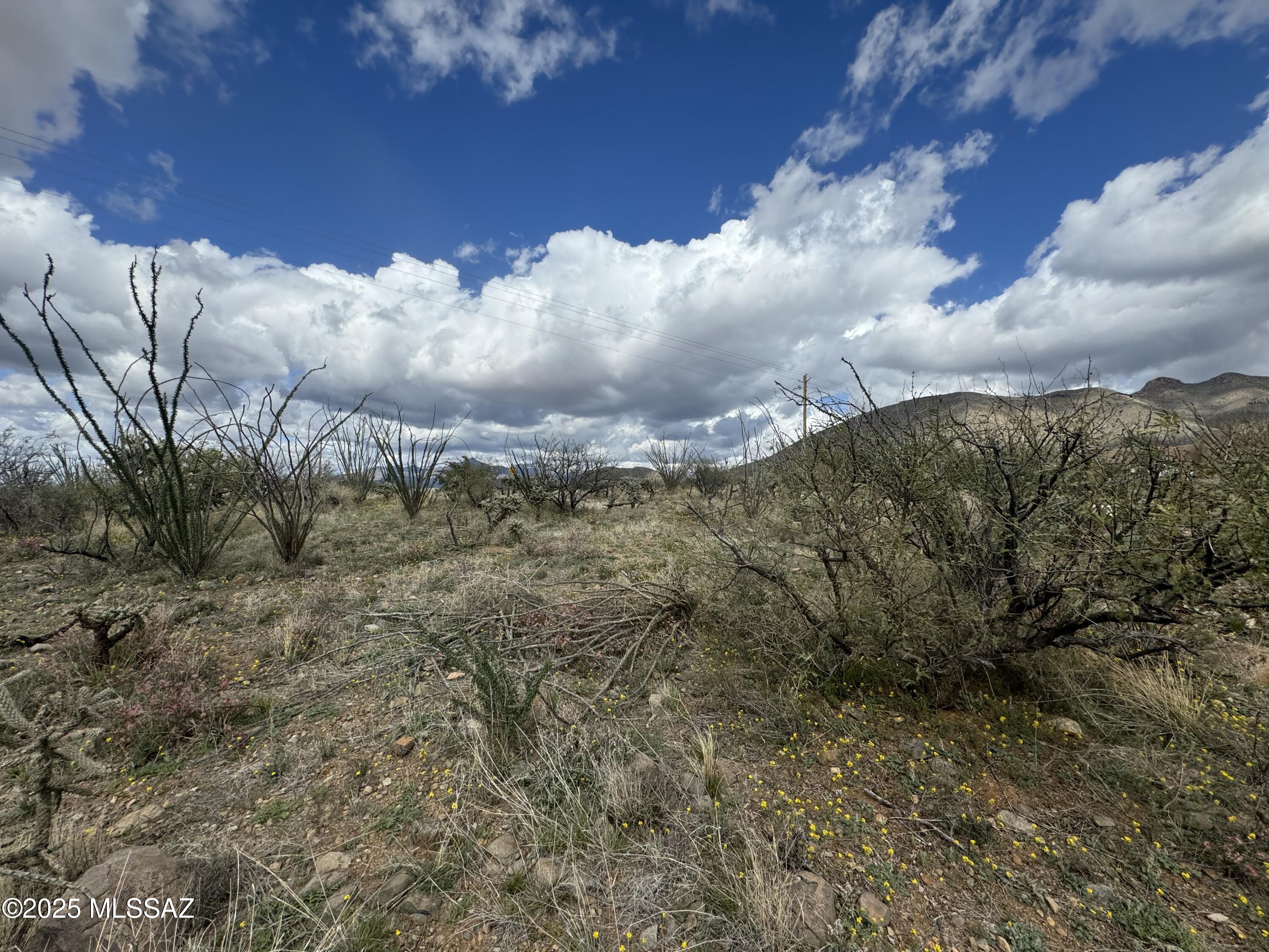 1735 Ruta Caravela Rio Rico, AZ 85648 - Photo 3 of 9 a view of a sky view