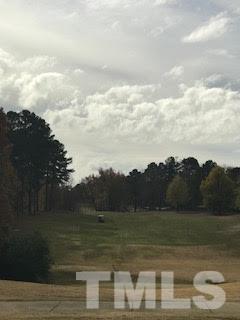 2444 Pumpkin Ridge Way Raleigh, NC 27604 - Photo 14 of 15 a view of a lake in middle of the town