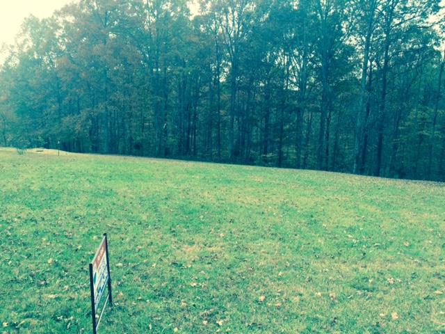 2293 Wolfe Road White Bluff, TN 37187 - Photo 1 of 3 Gallery Image 1
