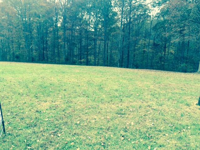 2293 Wolfe Road White Bluff, TN 37187 - Photo 2 of 3 Gallery Image 2