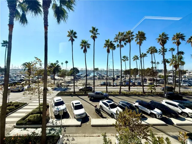 a view of outdoor space with palm trees