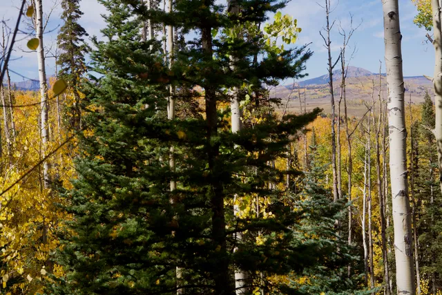 a view of a bathroom