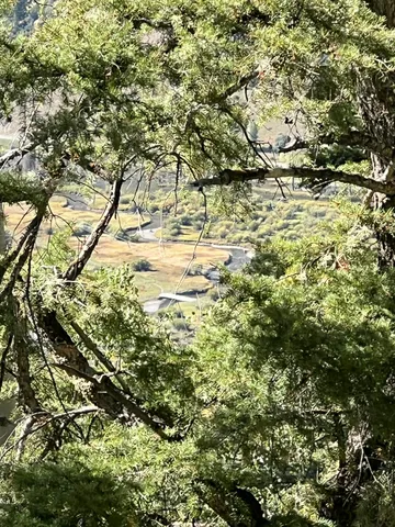 a aerial view of a residential apartment building with a yard and plants