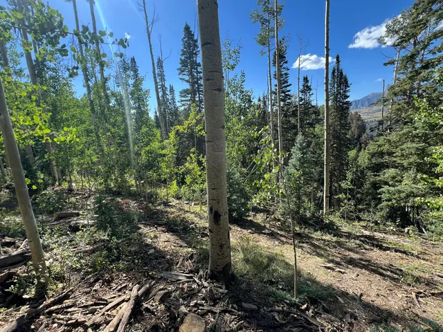 a view of outdoor space