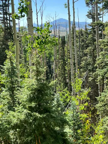 a view of outdoor space