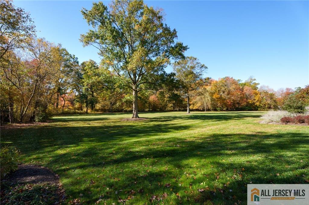 213 Cranbury Neck Road Plainsboro, NJ 08512 - Photo 41 of 52 a view of a park